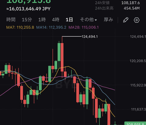 【悲報】僕ちゃんのビットコイン、月時損益－200万となってしまうwwmmmmmmwwwwwwwww