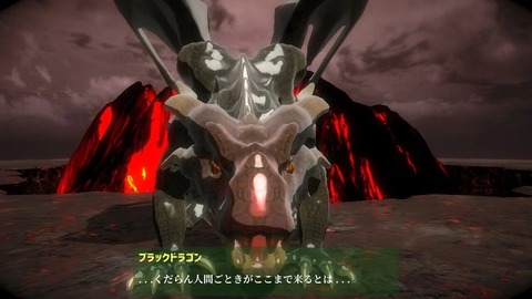 デカいドラゴンと戦えるアクションゲームってない？