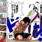 ポートガス・D・エース「クソ親父の姓を名乗りたくない」