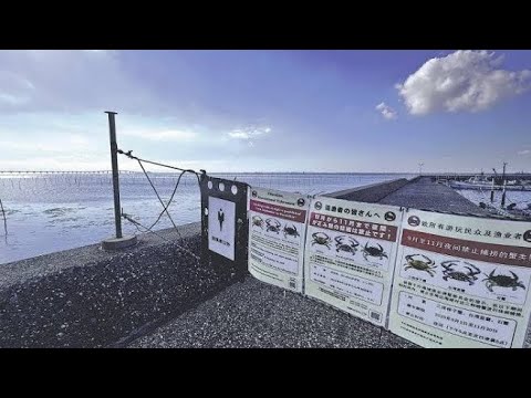 【社会】ワタリガニ捕獲する外国人が急増…SNSで情報広がった⁉