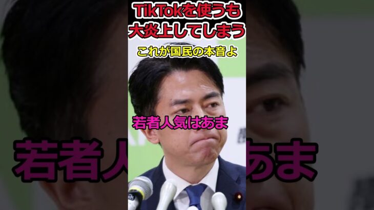 【Twitter】政治家がTikTokを使うも大炎上してしまう⇒若者の声は国民の本音だ!