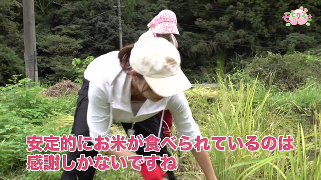 岡田桃佳アナ　前かがみで稲刈り、巨乳胸チラ、谷間チラ！！【GIF動画あり】