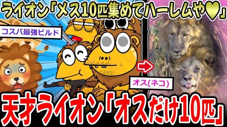 【驚愕】ライオン「メス10匹でハーレムや♡」天才ライオン「オス”だけ”10匹」