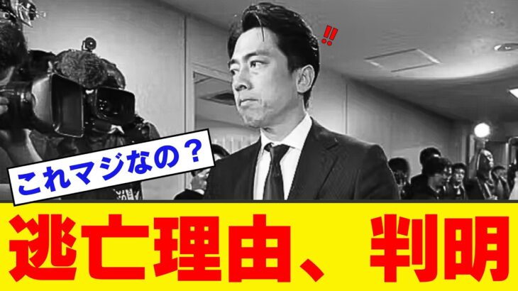 【仰天】小泉進次郎海外逃亡、想像の10倍卑劣な理由が文春砲で判明wwwwww
