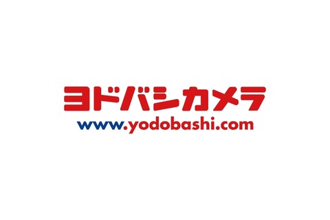 ヨドバシカメラ（ポイント10%付きます、税込表示です、ドットコム充実してます）←天下取れなかった理由
