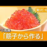 【悲報】北海道、「ほぼ全滅です」旬のサケ漁に異変が・・・