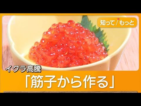 【悲報】北海道、「ほぼ全滅です」旬のサケ漁に異変が・・・