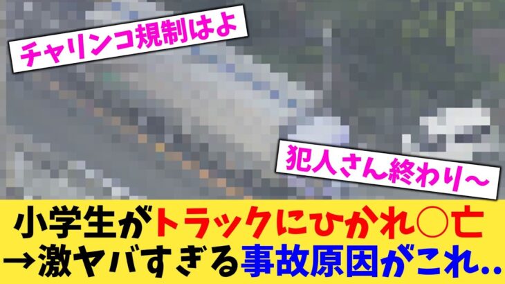 【動画】小学生がトラックにひかれ○亡→激ヤバすぎる事故原因がこれ…