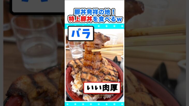 【驚愕】〆の出汁茶漬け!豚丼発祥の地で特上豚丼を食べるぞw