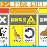 【国際】ウナギ規制、全種対象へ！これが新時代のウナギや！