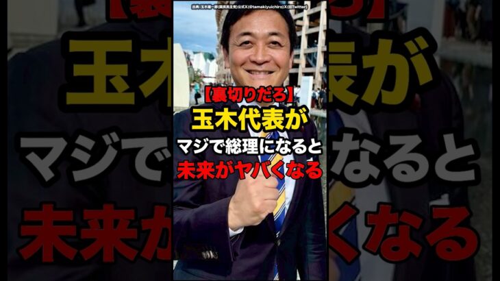 【衝撃】玉木代表がマジで総理になると未来がやばくなる