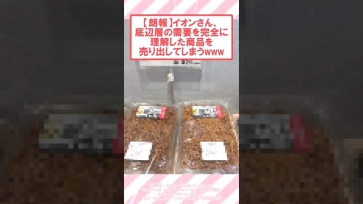 【動画】イオンさん、底辺層の需要を完全に理解した商品を売り出してしまうwww