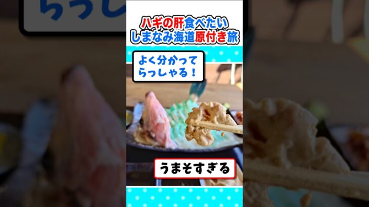 【衝撃】新鮮なハギの肝を求めて!しまなみ海道、原付きプチツーリングに行くw