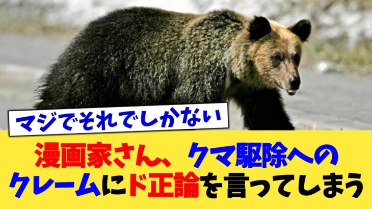 【衝撃】漫画家さん、クマ駆除へのクレームにド正論を言ってしまう
