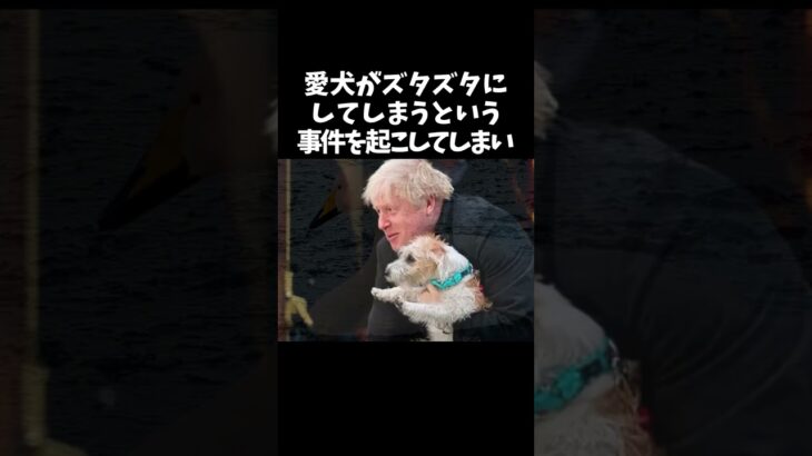 【衝撃】「憎めないブリカス」ボリス・ジョンソンに関する雑学