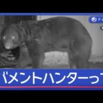 【社会】公務員ハンターって何？秋田市が期待する新しい働き方とは？