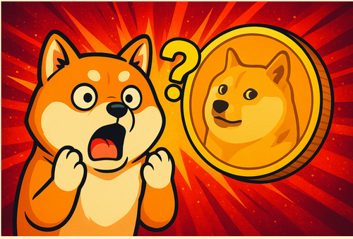 【衝撃】63億円の$DOGEが消えた！？次に爆上がりする柴犬コインとは