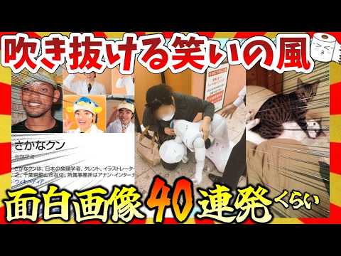 【動画】吹き抜ける笑いの風!面白画像40連発!ガルちゃんまとめ/2ch
