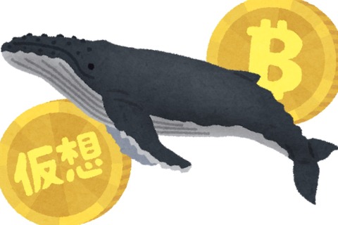 仮想通貨大暴落で約300億円の爆益のトレーダーさん、疑われてしまうwwwwwwwwww