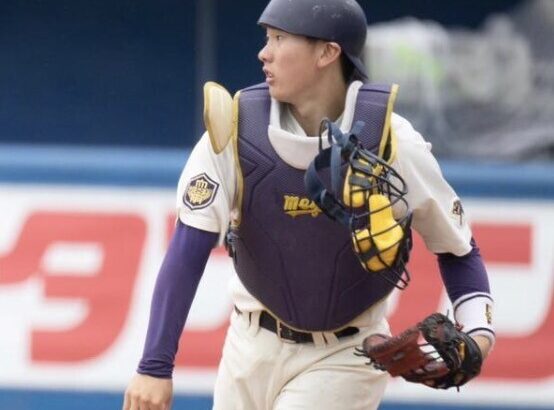 小島大河(東大抜き成績)→56試合 230打席 191打数 63安打 7HR