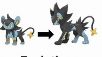 【悲報】デジモンがポケモンに勝てなかった理由、たった1枚の画像で解説さるｗｗｗｗｗ