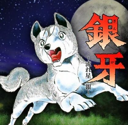 「銀牙~流れ星銀~?ワン公のマンガなんか面白いわけないやろ」←読んだ結果