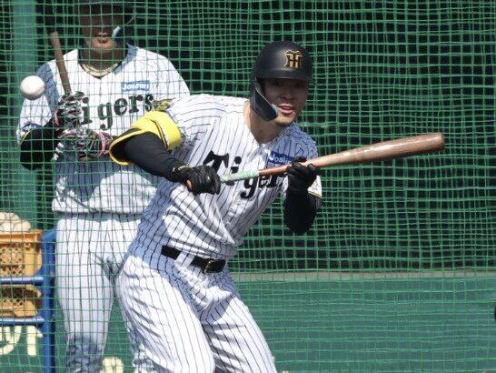 佐藤輝明、実戦打撃練習でまさかのバント練習wwwwwwwwwwww