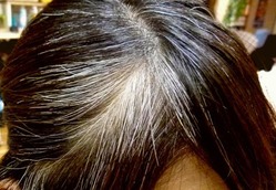 【画像】30歳で白髪まみれのワイ、終わる