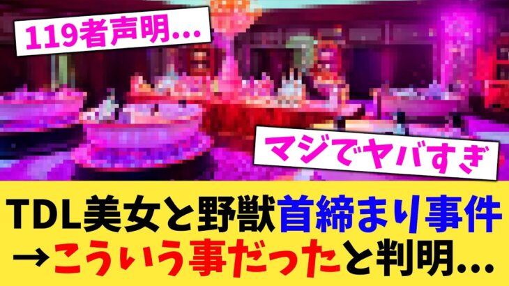 【衝撃】TDL美女と野獣首締まり事件→こういう事だったと判明…