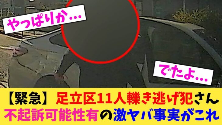 【動画】足立区11人轢き逃げ犯さん不起訴可能性有の激ヤバ事実がこれ