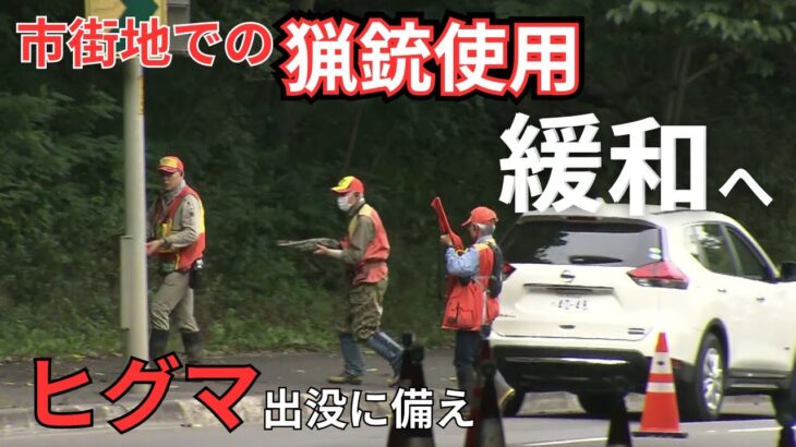 【社会】クマ駆除にライフル銃!政府の新たな対策とは?