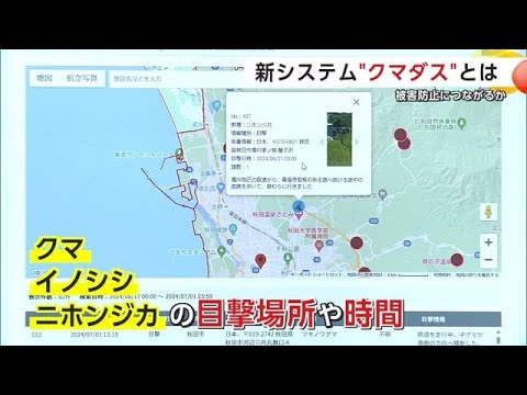 【必見】クマに注意‼ 秋田県の「クマダス」登録者数が急増中‼
