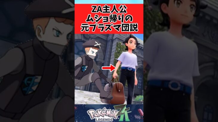 【ポケモン】元プラズマ団説が妙に説得力があるのやばいwに関するみんなの反応集