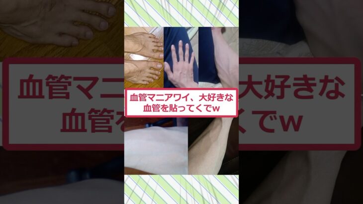 【マジかよ】血管マニアワイ、大好きな血管を貼ってくでww