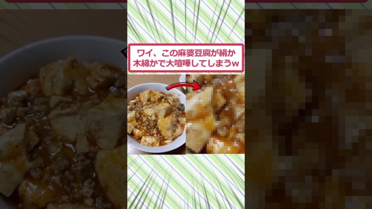 【仰天】ワイ、この麻婆豆腐が絹か木綿かで大喧嘩してしまうww