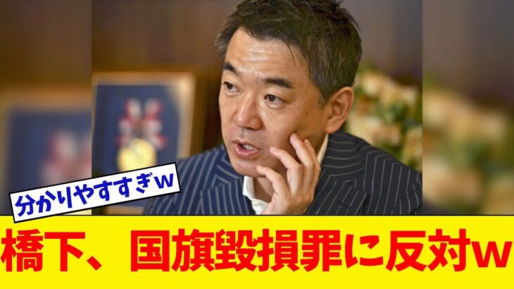 【疑問】橋下徹氏の「国旗損壊罪」反対の理由とは？