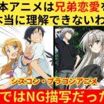 【衝撃】外国人さん「なぜ日本アニメは兄弟で恋愛をするんだ?奇妙すぎるだろ!」→シスコン/ブラコンの概念が欧米で大論争に…