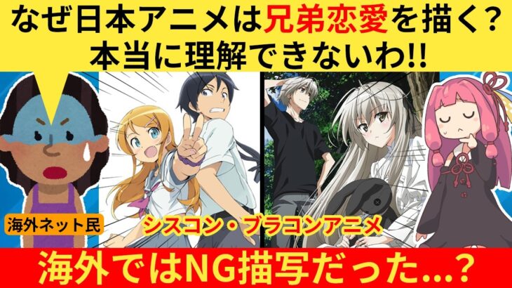 【衝撃】外国人さん「なぜ日本アニメは兄弟で恋愛をするんだ?奇妙すぎるだろ!」→シスコン/ブラコンの概念が欧米で大論争に…