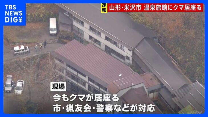 【驚愕】米沢市の温泉旅館にクマ出没⁉ 驚きの実態とは