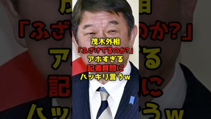 【マジかよ】茂木外相「ふざけてるのか?」アホすぎる記者質問にハッキリ言うw