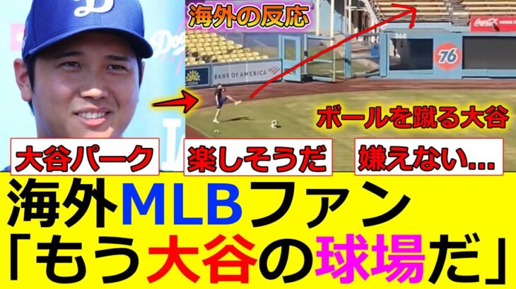 【動画】大谷翔平、愛犬のデコピンと遊ぶだけでなぜか好感度が爆上がりしてしまうww 海外MLBファン全体の反応