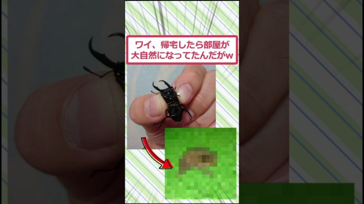 【仰天】ワイ、帰宅したら部屋が大自然になってたんだがww