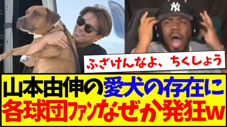 【驚愕】山本由伸の愛犬の存在に、なぜか発狂し始めるMLB各球団ファンの反応がこちらですwww