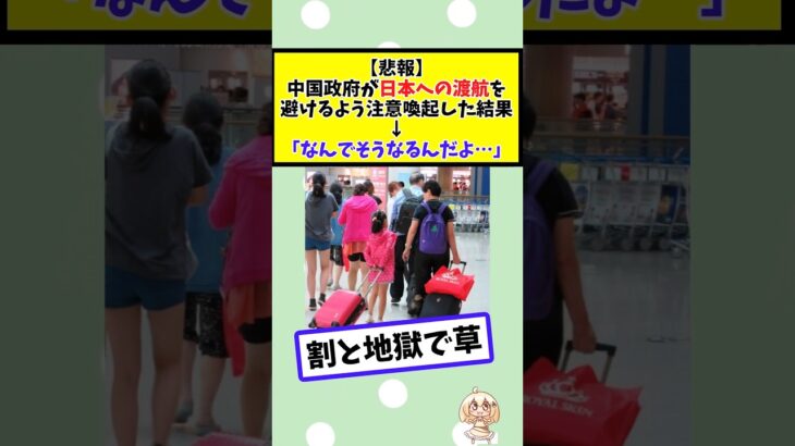 【衝撃】中国政府が日本への渡航を避けるよう注意喚起した結果↓「なんでそうなるんだよ…」