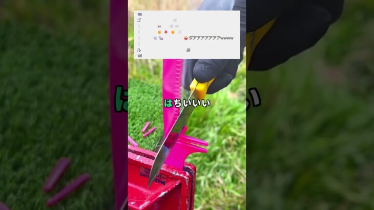 【動画】さぁ!良い子のみんな!『虫さんトコトコレース』始まるよ～!