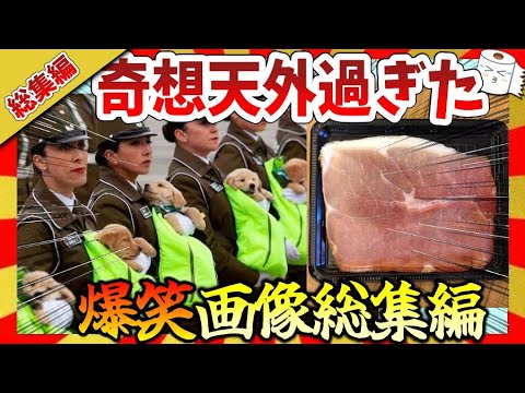 【仰天】奇想天外すぎる面白画像&映像まるっと総集編!ガルちゃんまとめ/2ch