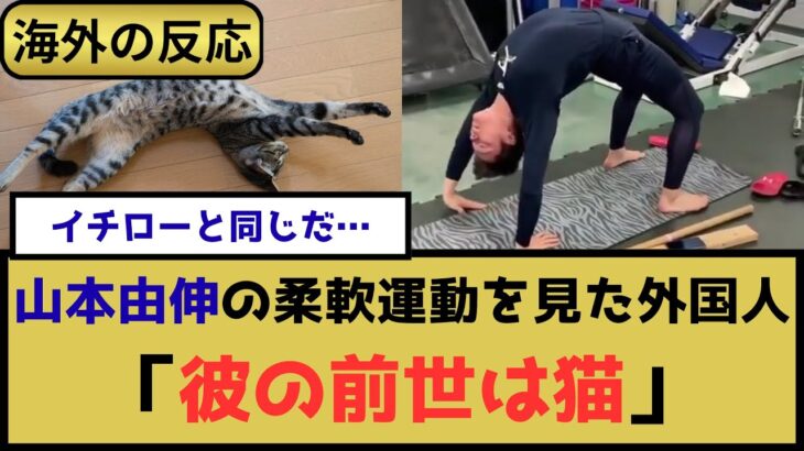 【驚愕】外国人「彼の前世は猫」山本由伸の並外れた柔軟性を見た海外の反応