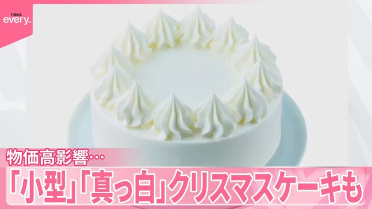 【話題】フルーツなしの真っ白クリスマスケーキがコスパ最高な訳とは？