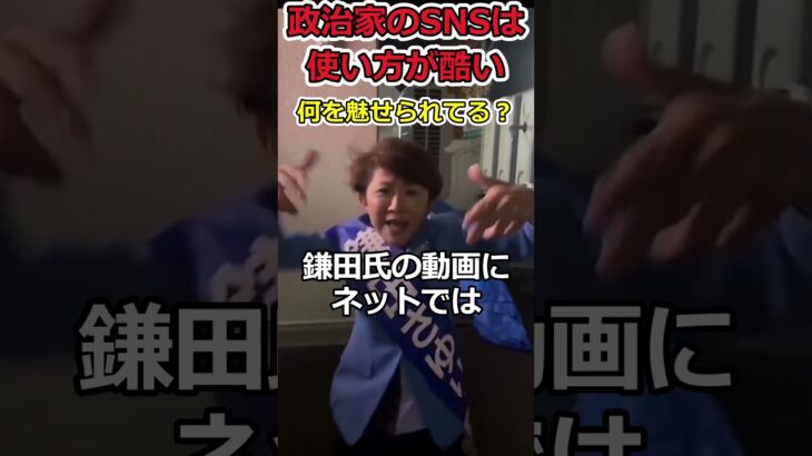 【マジかよ】こんな人でも政治家になれる!?⇒現代の選挙制度の歪さ!