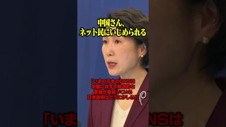 【仰天】中国さん、ネット民にいじめられて「日本政府はなんとかしろ!」と怒り出すw